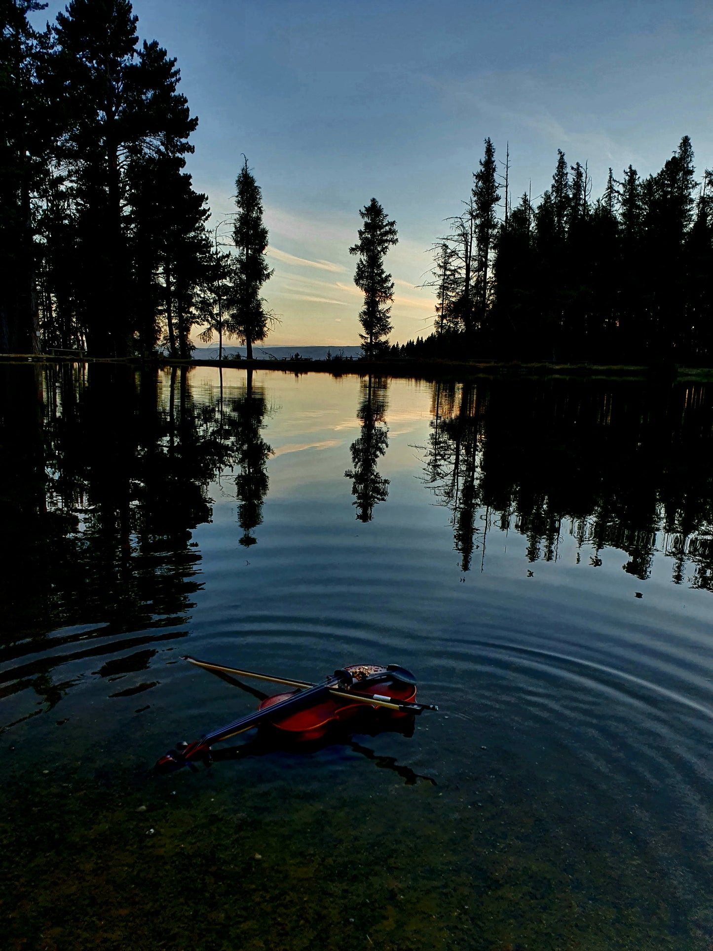 'The sound of silence'