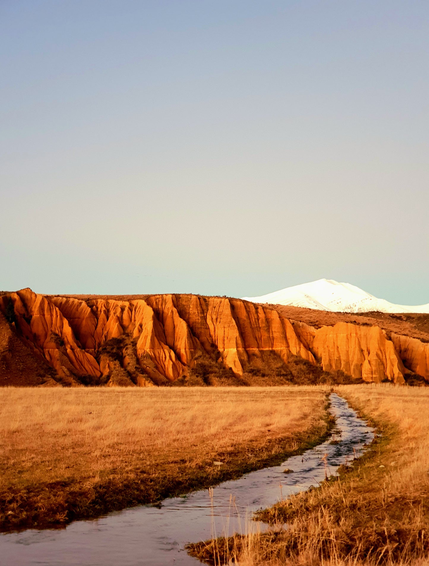 Hardship, heartache, and horse thieves.