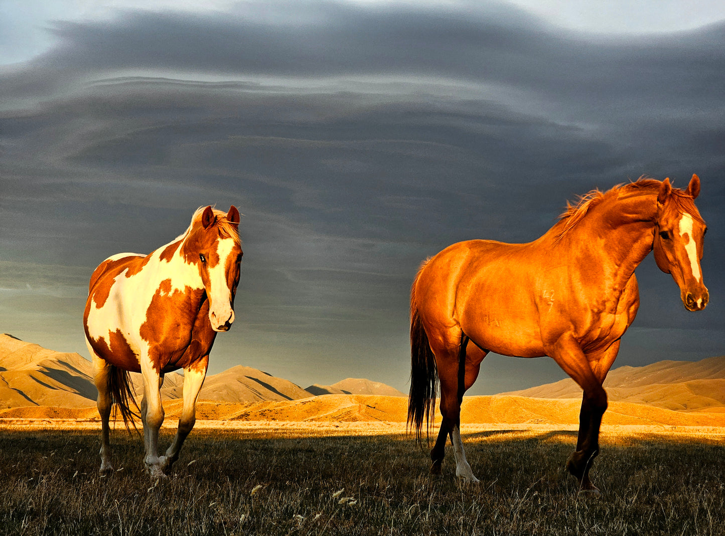 The strength in us all. Print