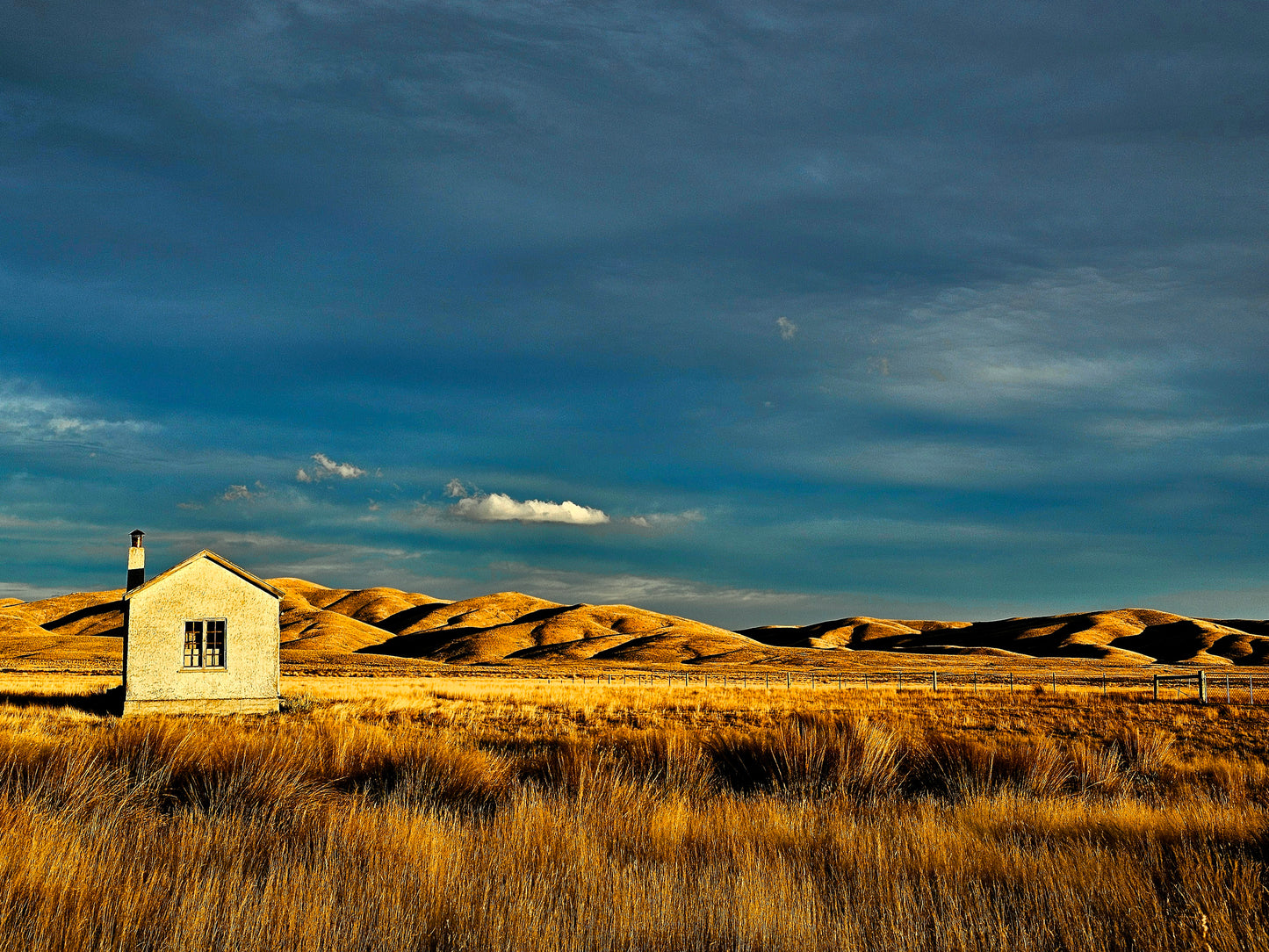 'You can't plant me in your penthouse '