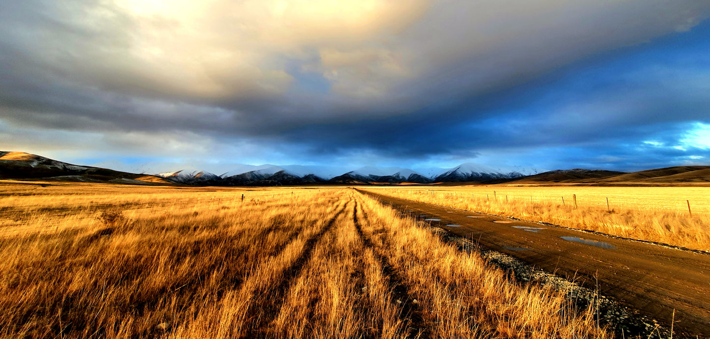 Hillbilly Highway  Print
