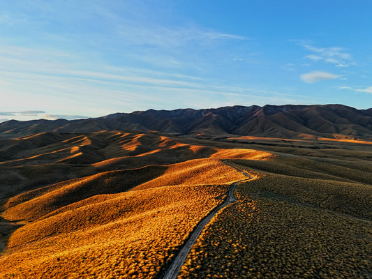 All I saw was the way..